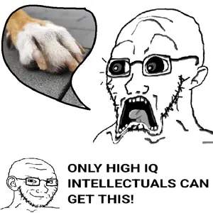 dogtoes.png