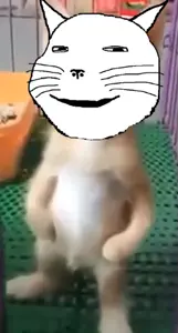 Captura de pantalla 2026-05-22 152729.png