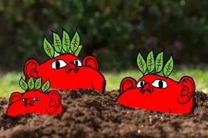broot garden - Copy.png