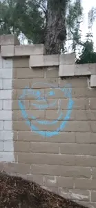 20260523_195244.jpg