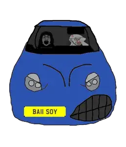 BAII SOY.png