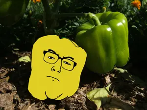 Capsicum-Canary-fruit1.png