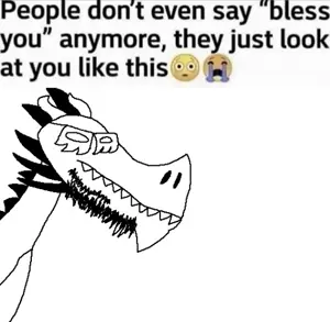 IMG_1755.jpeg