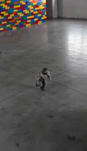 minichad crashes into lego wall.mp4