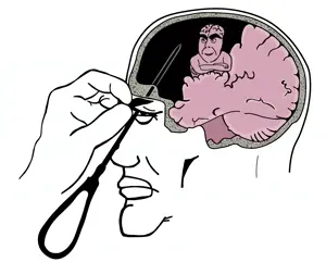 Без названия129_20260527053317.jpg