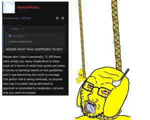 nomorejannies2.png