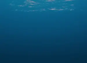 output.mp4