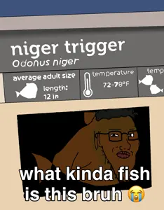 Untitled1349_20260527222202.png