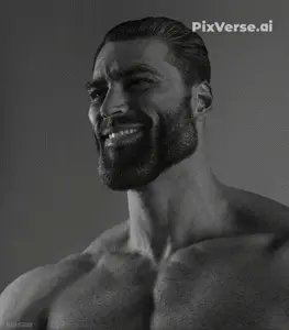 PixVerse_V6_Image_Text_360P_Создай_видео_в_кот.gif