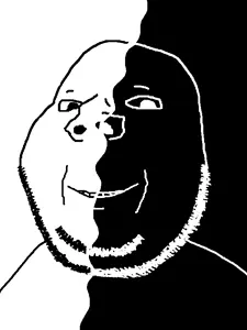 obs.png