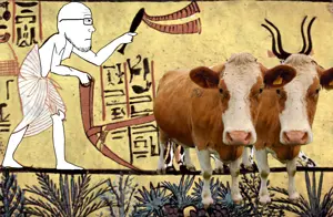 niggercowpasture.png