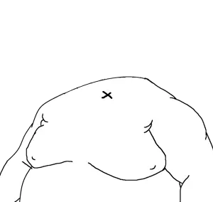 headlessbranigger.png