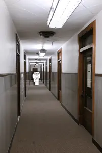 ollll.gif