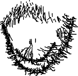 544 Sem Título_20260528085646.png