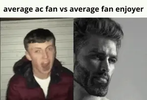 acfvafe.gif