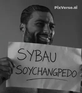 antisoychanggem.mp4