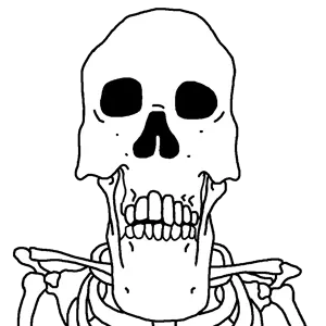 neutralplier skeleton.png