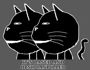 obsidipilled.png