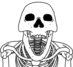 bernd_skeleton.png