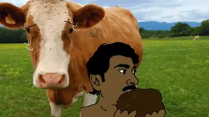 Jeet eating cow poop.gif