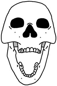 bernd_skeleton_head.png