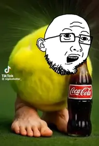 bird-drinking.mp4
