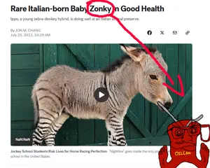 Screenshot 2026-05-31 105753.png