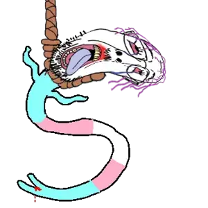 s_upper.png