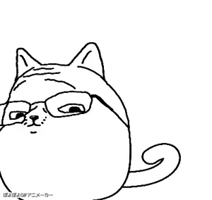 bouncing-cat.gif