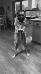 GIGADOG-ezgif.com-gif-maker.gif