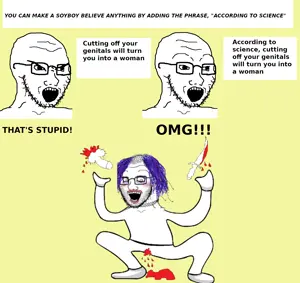 4761391 - Wojak consoomer edit meme soyboy soyface soyjak trannyjak.png