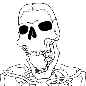 cobson_skeleton.png