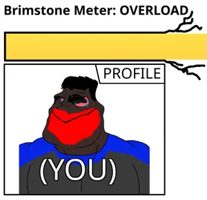 brimmeterprofile.png