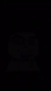 lv_0_20260602211647.mp4