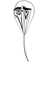 Untitled1110_20260603123458.png