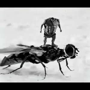 df384a6d5e4a.mp4
