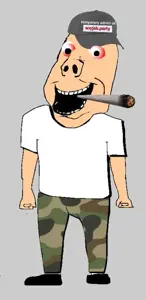 1AA22211112A23-pigg.png