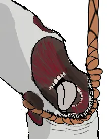 bernd, hanging troonjak, troonjak, ack, body horror, hanging, no eyes, rope, soyjak, stubble