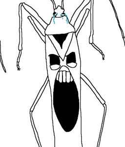 bugs.png