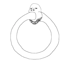 soysnake.gif