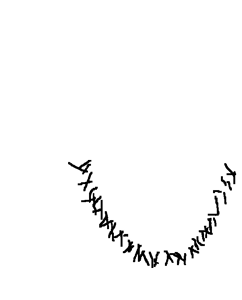 Soyak_stubble.png
