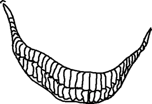 sinister wojak mouth.png