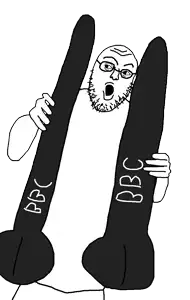 1AA22211112A23-pigg.png