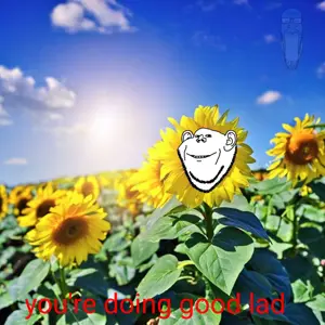 you're doing good lad.png