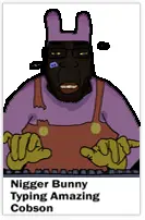 1AA22211112A23-pigg.png