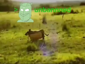 unbannedocide.mp4
