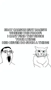 is ebay carson racist_ FAQ!.mp4