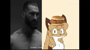 GEM 47.mp4