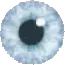 a10  eye.png