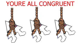congruent.png